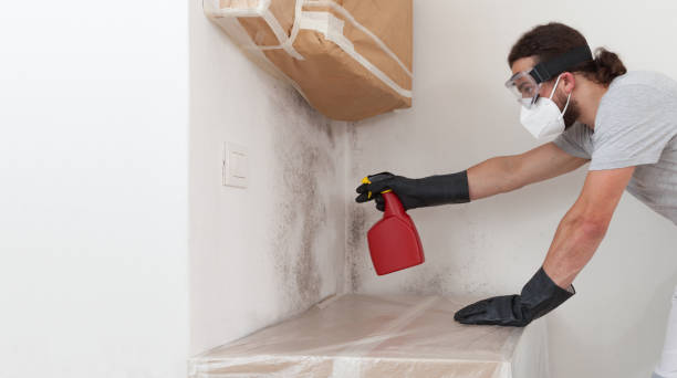 Professional Mold Testing technician working in Groveland, FL