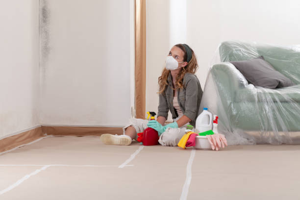 Reliable Mold Testing contractor in Groveland, FL by WQB Mold Removal
